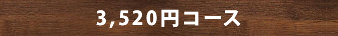 お気軽 3,300円コース